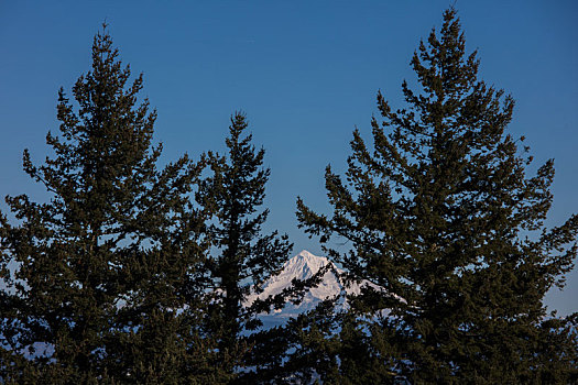 美国,波特兰,雪山