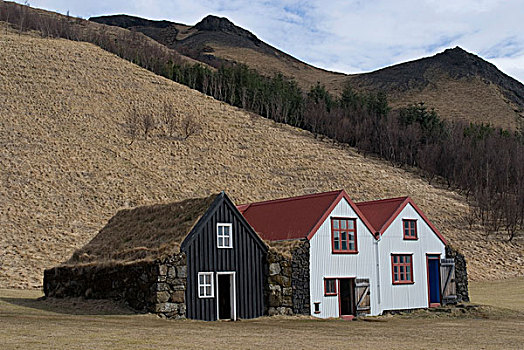传统,房子,博物馆,靠近,南,冰岛