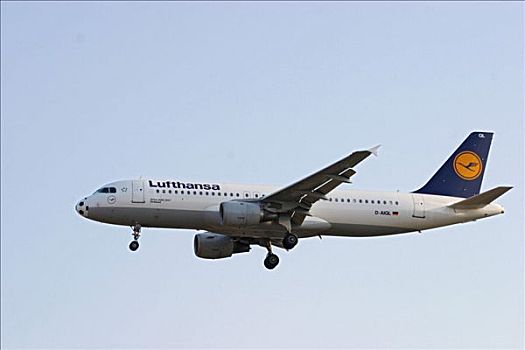 飞机,空中客车,德国,汉莎航空公司,施特拉尔松,特别,描绘,国际足联,世界杯,2006年