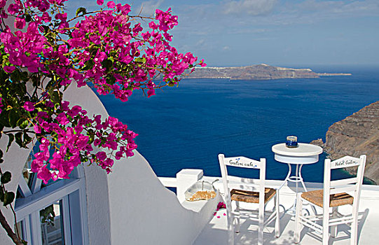 景色,粉花,锡拉岛,希腊,希腊群岛
