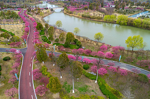 江苏省盐城市大丰区梅花湾景区