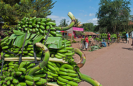 坦桑尼亚,蚊子,乡村,香蕉,出售,本地人