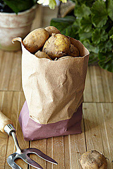 生食,土豆,牛皮纸袋