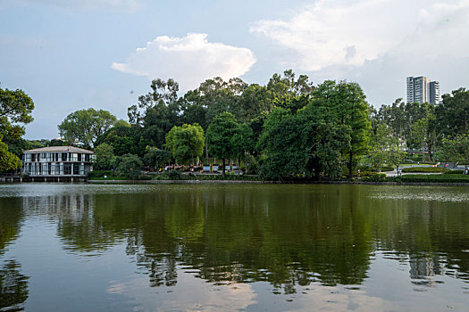 羊城广州夏天天河公园绿树成荫