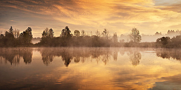 湖,雾,反射,早晨,气氛,金色,黄色,红色,水
