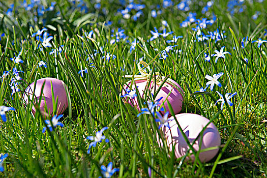 复活节彩蛋,花,草地