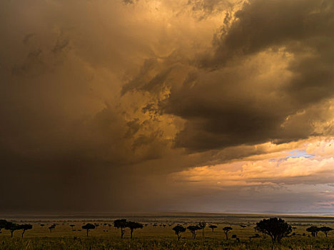 风暴,上方,马赛马拉,肯尼亚,非洲,大幅,尺寸