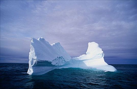冰山,拉布拉多海,拉布拉多犬,加拿大