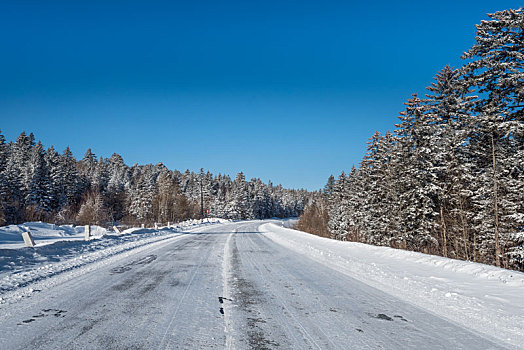 冬季雪后的树林和公路