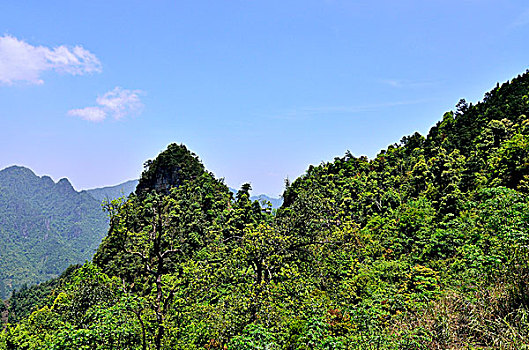 莲花山