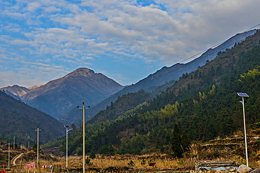 树,蓝天,田野,山,背景,村庄,山岗