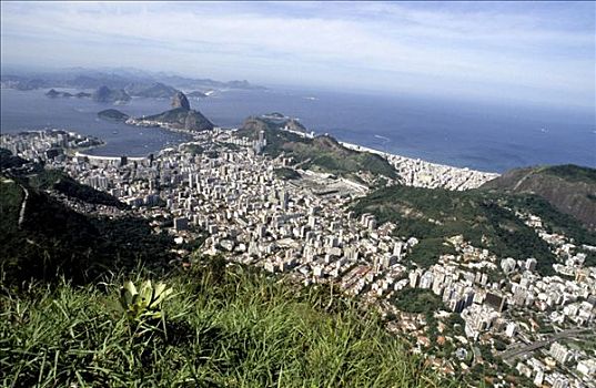 城市,甜面包山,里约热内卢,巴西,南美