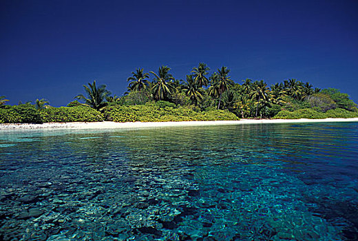 印度洋,马尔代夫