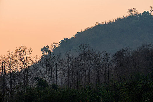 老挝琅勃拉邦森林的黎明
