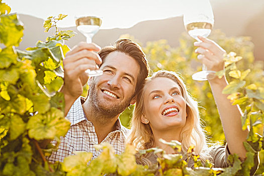 年轻,幸福伴侣,拿着,葡萄酒杯,葡萄,地点