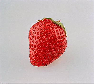 特写,草莓
