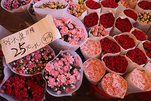 广州岭南花卉市场