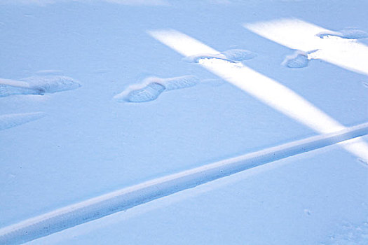 中国冬季白色的雪覆盖着的树林