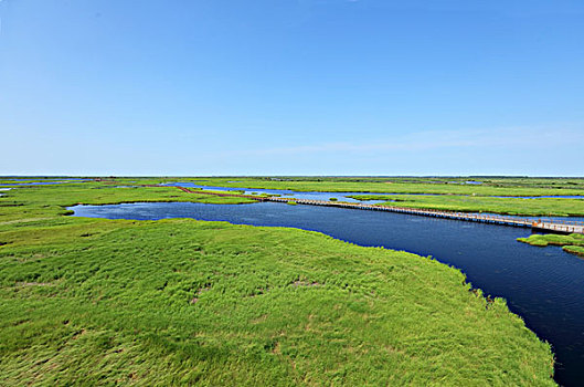 中国最美湿地,千鸟湖湿地