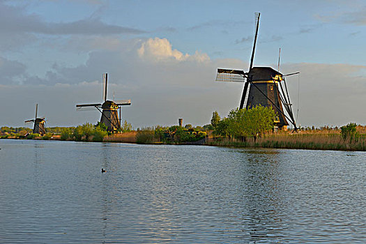 历史,风车,世界遗产,小孩堤防风车村,荷兰南部,荷兰