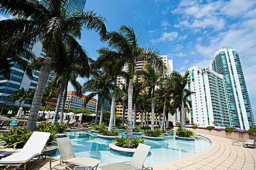 美国,佛罗里达,游泳池,棕榈树,市区,迈阿密,酒店,高层建筑,建筑