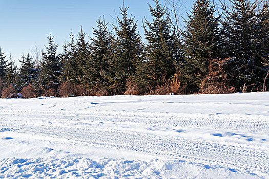 有雪的冬季山林公路