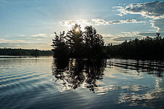 反射,树,水上,日出,湖,木头,安大略省,加拿大