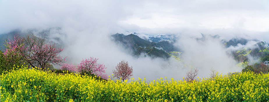 安徽黄山石潭春天风光