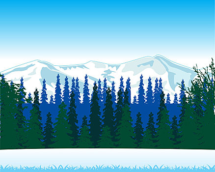 冬季风景,木头,山