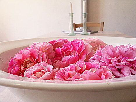 粉色,玫瑰,卧,陶器,盘子,装饰