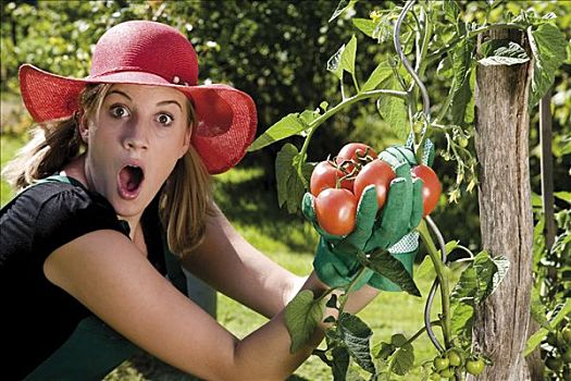 吃惊,女性,园丁,收获,西红柿