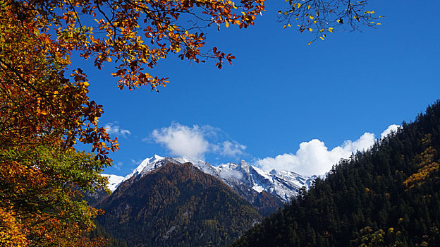 九寨沟风景之秋景