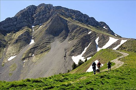 远足,旅游,上升,山,阿尔卑斯山,瑞士
