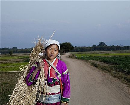 女人,一些,稻草,缅甸