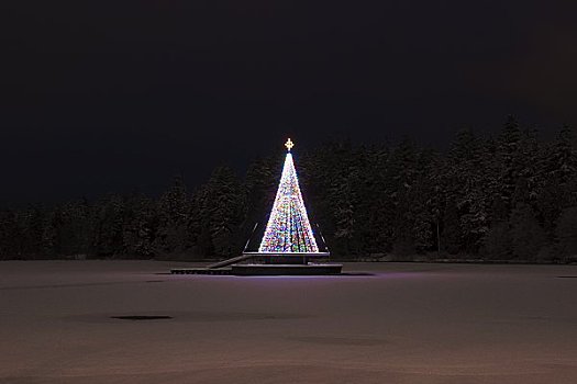 圣诞树,冰湖,湖,温哥华,不列颠哥伦比亚省,加拿大