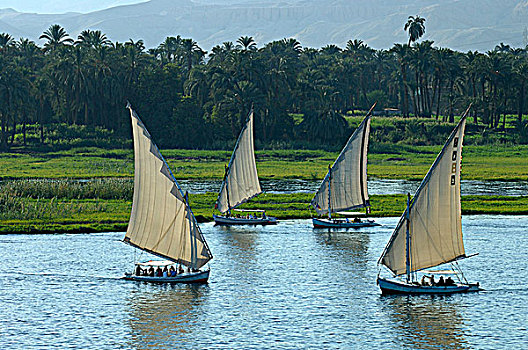 埃及,路克索神庙,三桅小帆船,尼罗河
