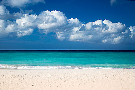 白色,沙滩,鹰,海滩,靠近,奥拉涅斯塔德,阿鲁巴,西印度群岛
