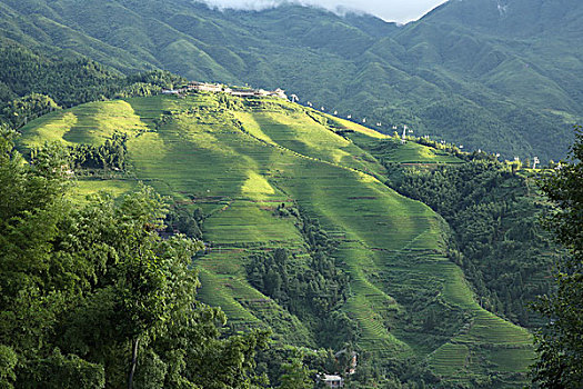 龙脊梯田