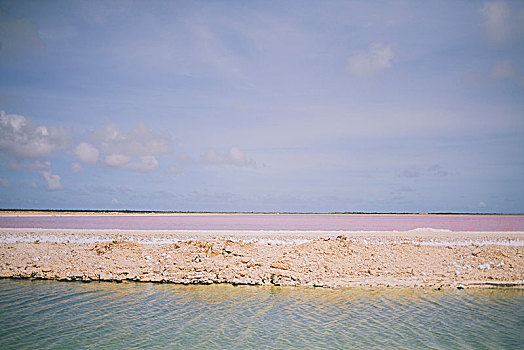 粉色,盐湖,碧水,博奈尔岛,岛屿