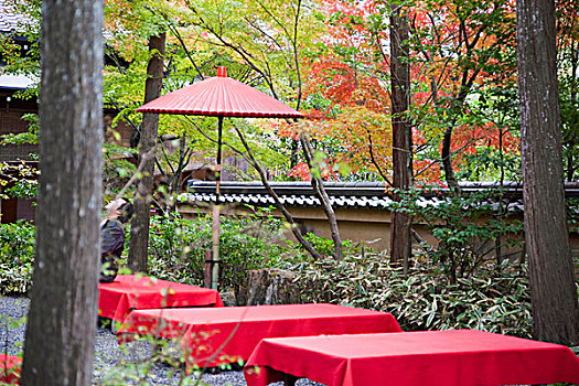 座椅,金阁寺,京都,日本