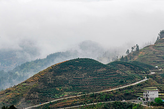 重庆酉阳,青山雾漫别样美