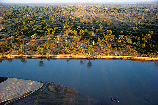 堤岸,河,树林,早晨,亮光,航拍,南卢安瓜国家公园,赞比亚,非洲