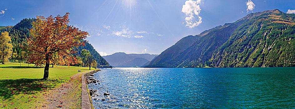 湖,阿亨湖地区,落叶树,靠近,山,提洛尔,奥地利,欧洲