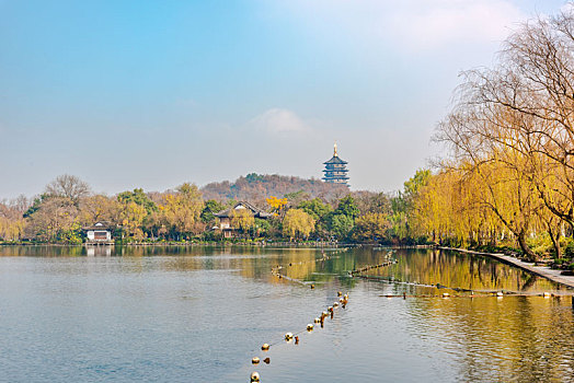 杭州西湖苏堤秋景