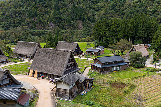 乡村,日本