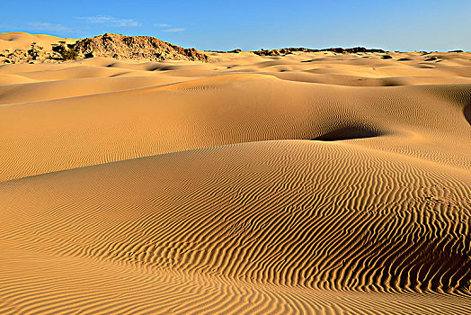 沙漠,阿曼,阿拉伯,亚洲