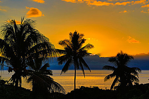 日落,斐济