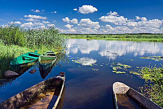 船,河,靠近,乡村,国家公园,波兰,欧洲