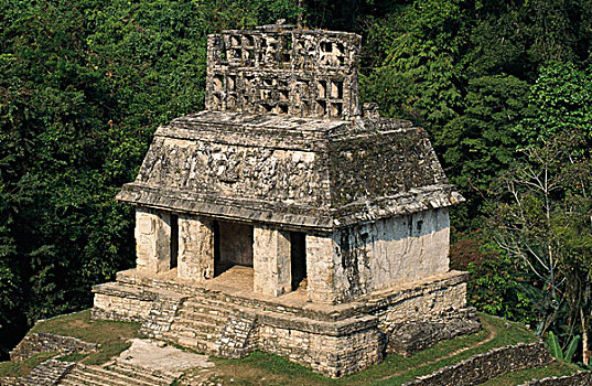 俯拍,古遗址,庙宇,太阳神殿,帕伦克,玛雅,恰帕斯,墨西哥