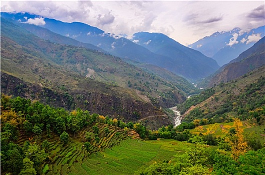 热带,风景,山谷,安纳普尔纳峰,区域,尼泊尔